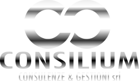 cropped-logo-transparent-chrome-linear_consilium.png